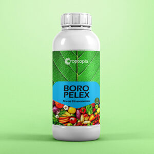 BORO PELEX