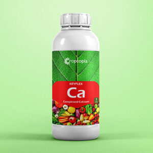 KEYPLEX  Ca