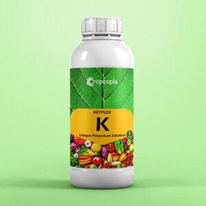 KEYPLEX K