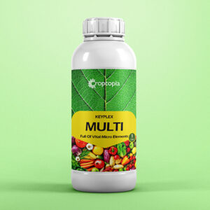 KEYPLEX MULTI