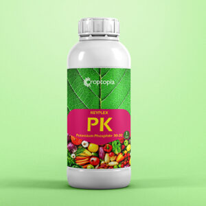 KEYPLEX PK