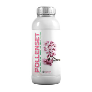 POLLENSET