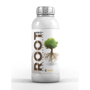 Pro Root
